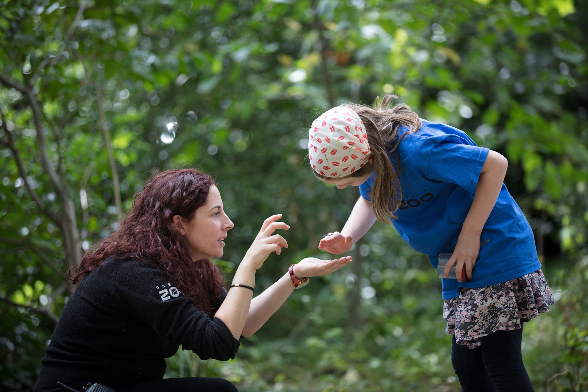 Education | Dublin Zoo