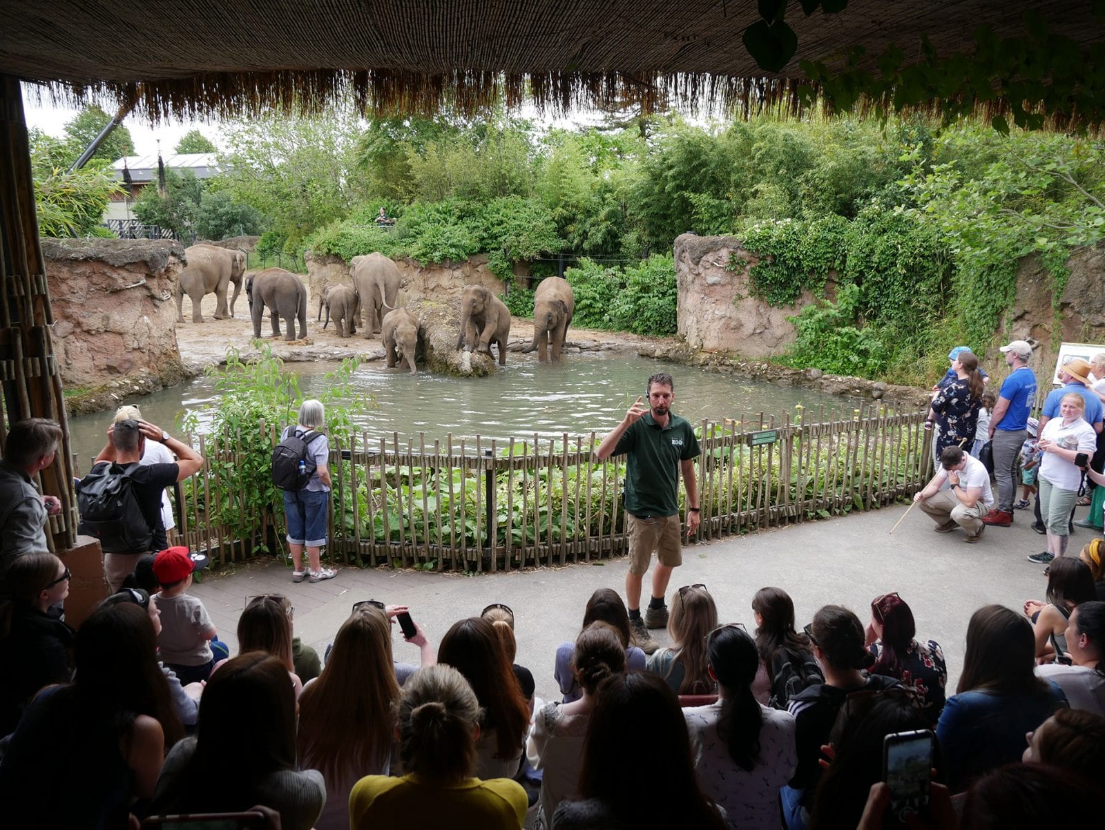 What You Can Do - Dublin Zoo