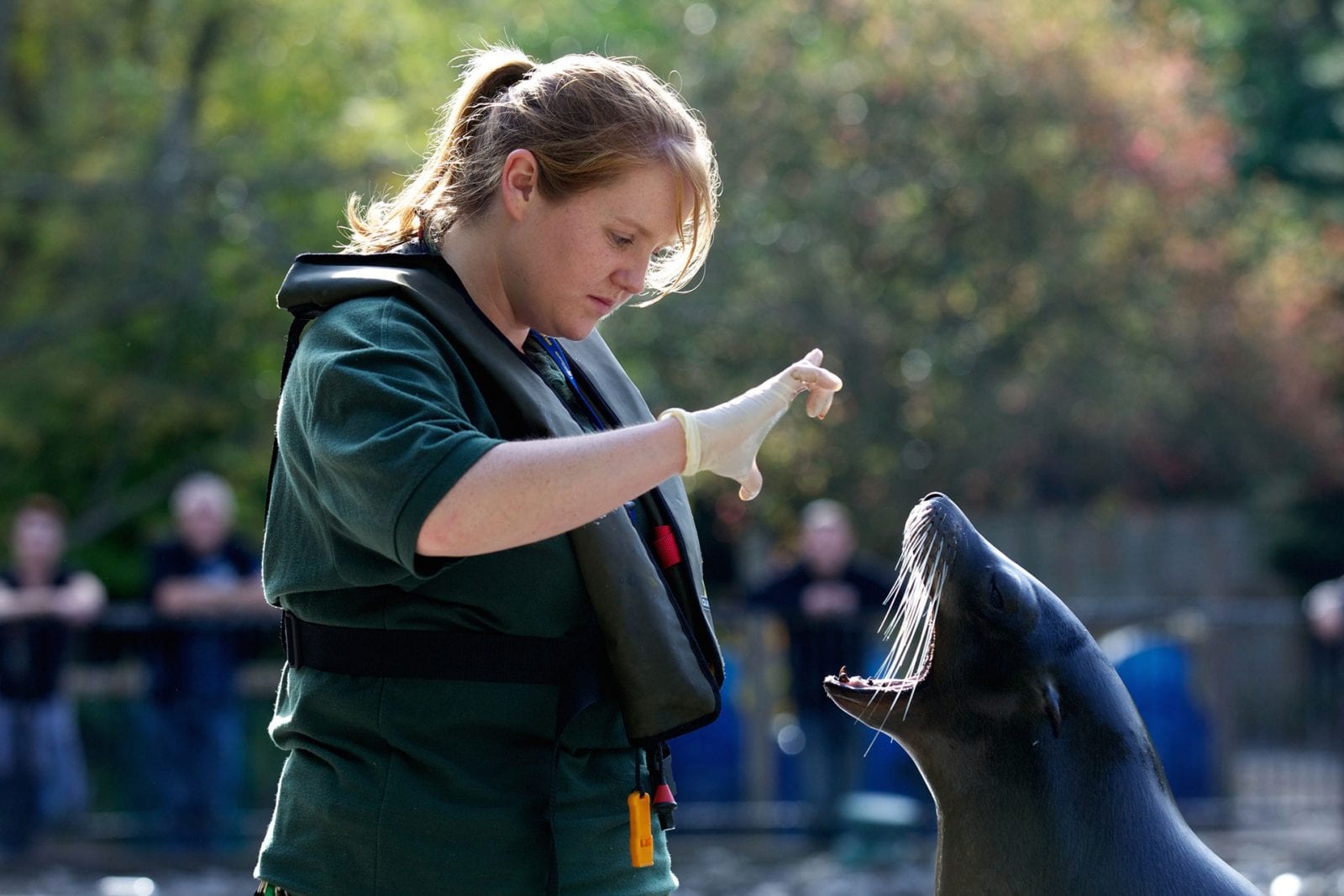 Careers | Dublin Zoo