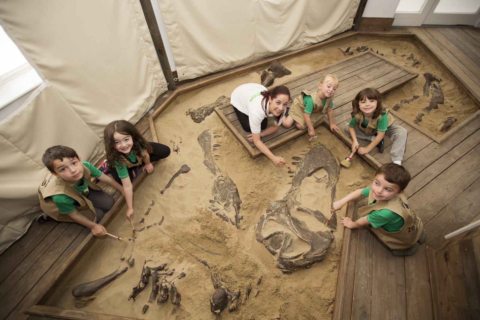 Dinosaur Discovery - Family Experience - Dublin Zoo