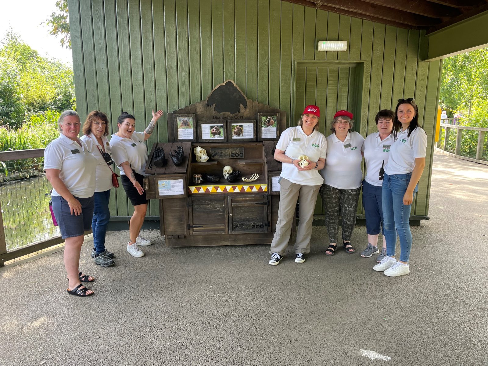 Applications open for 2023 Seasonal Volunteers - Dublin Zoo