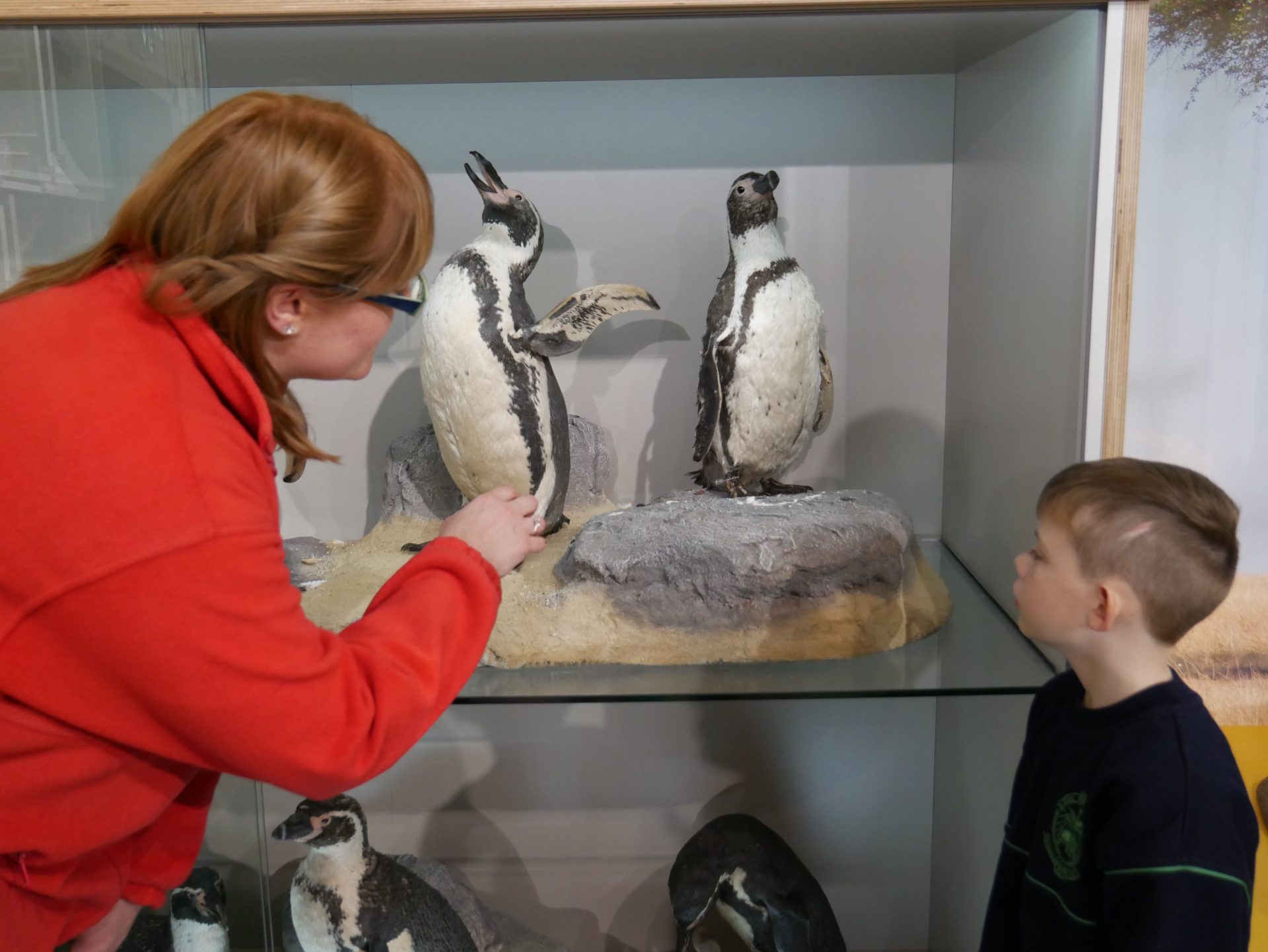 Applications open for 2023 Seasonal Volunteers - Dublin Zoo